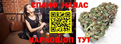 ПСИЛОЦИБИНОВЫЕ ГРИБЫ Бийск
