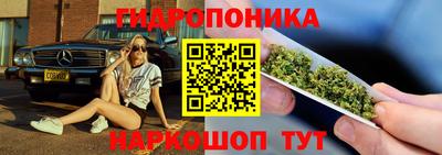 крисы Балаково