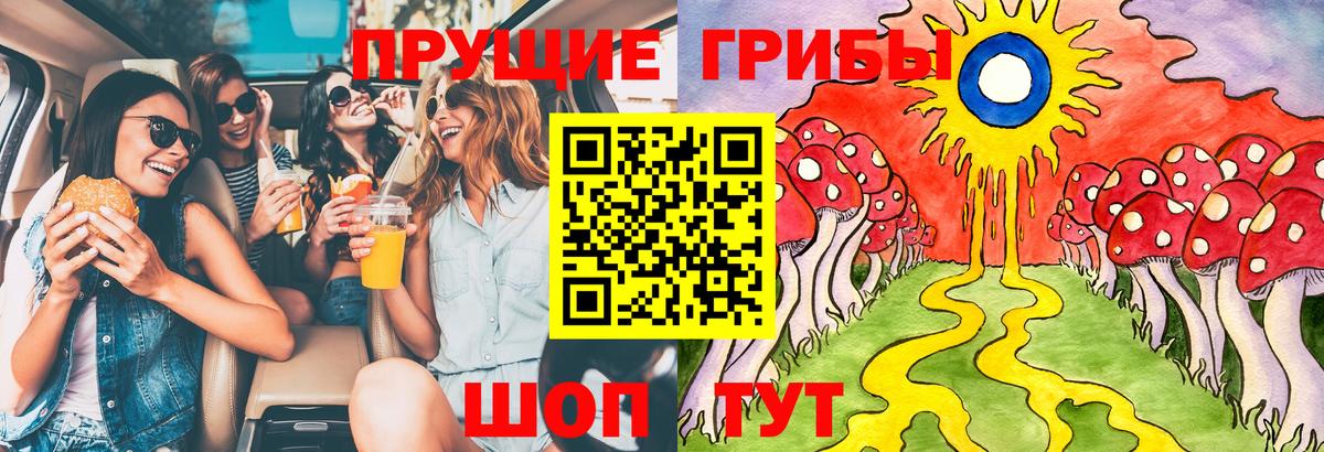 Галлюциногенные грибы Magic Shrooms Волжский