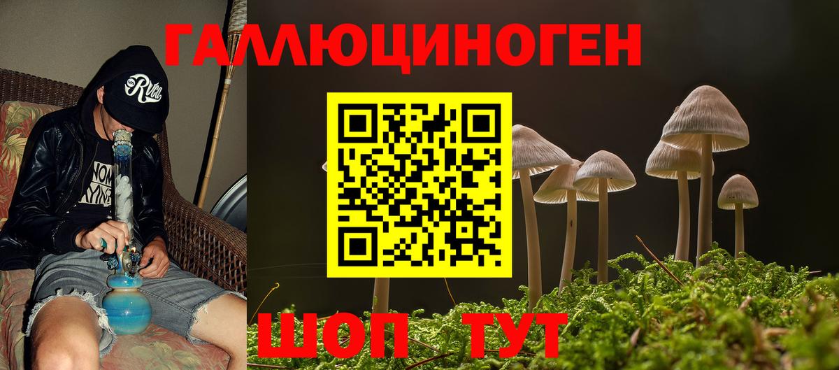 магазин продажи наркотиков  Псилоцибиновые грибы GOLDEN TEACHER  Вход с VPN  Волжский 